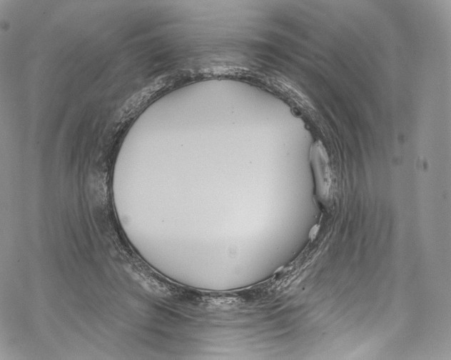 X0000069360401200606021458