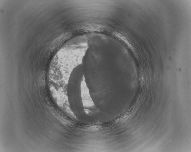 X0000069360402200606021458