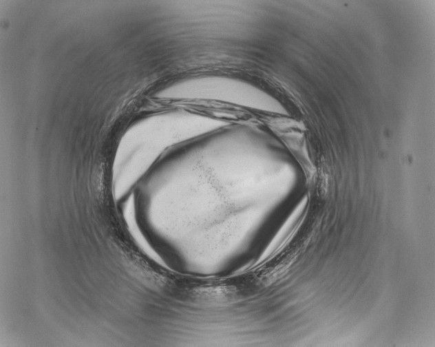 X0000069360404200606021458