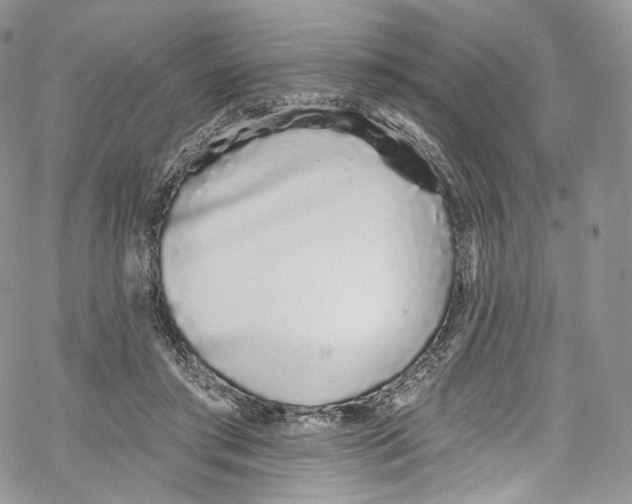 X0000069360405200606021458