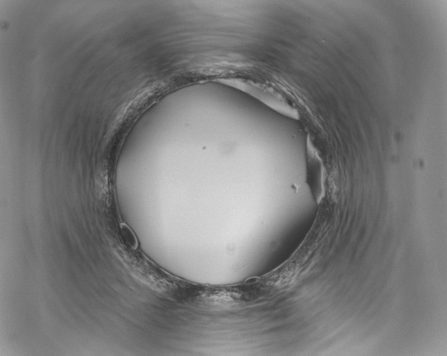 X0000069360407200606021458