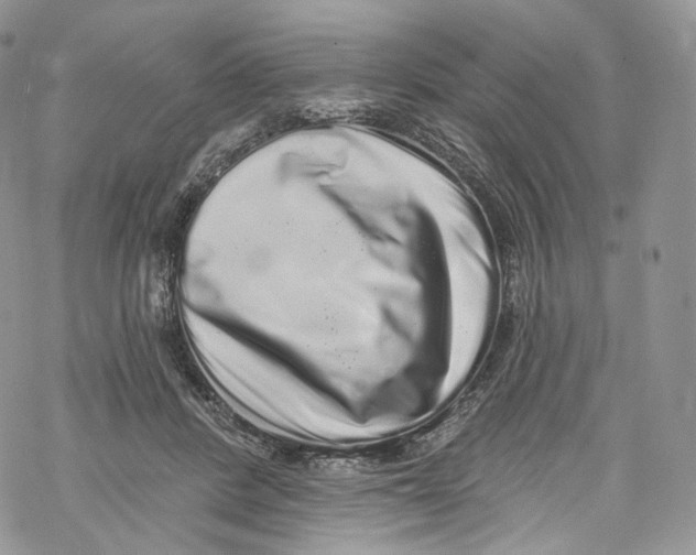 X0000069360408200606021458