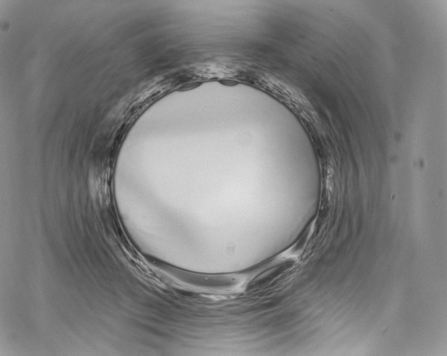 X0000069360409200606021458