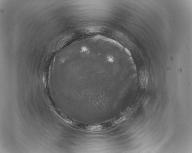 X0000069360410200606021458