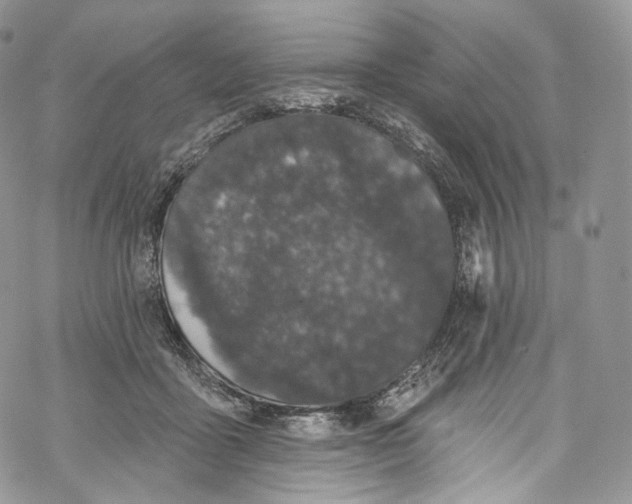 X0000069360411200606021458