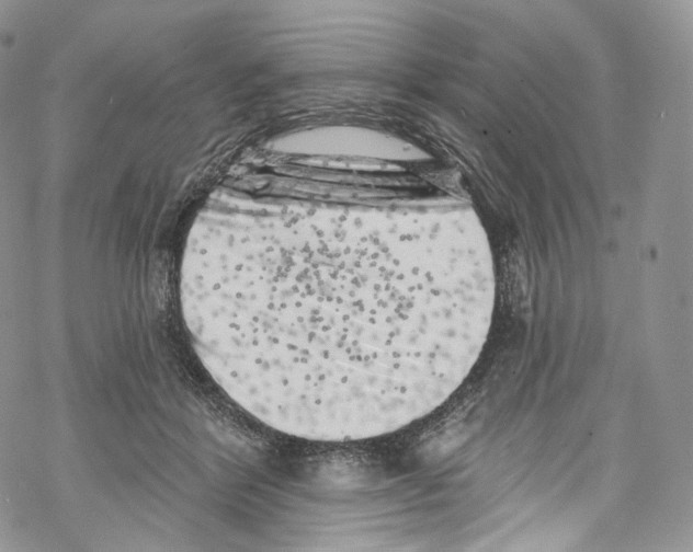 X0000069360412200606021458