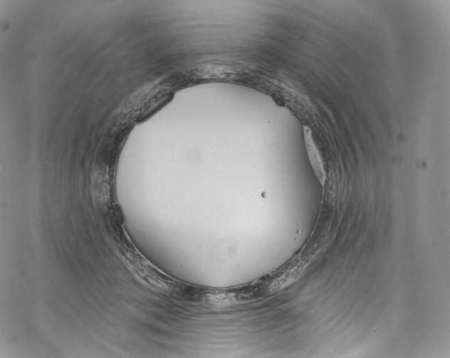 X0000069360413200606021458