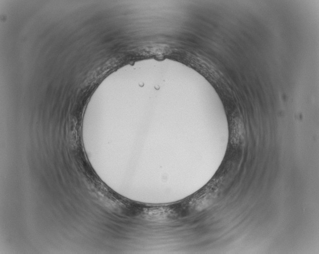 X0000069360414200606021458