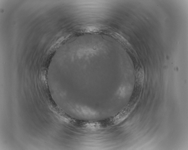 X0000069360415200606021458