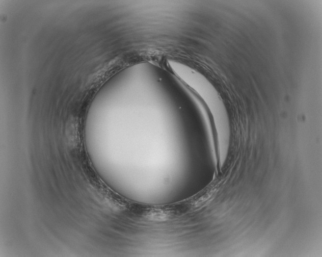 X0000069360416200606021458