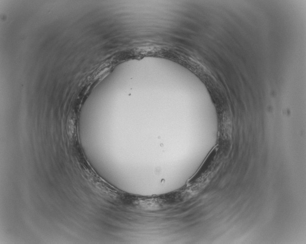 X0000069360417200606021458