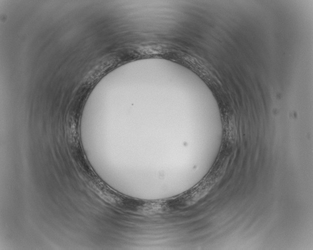 X0000069360418200606021458