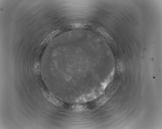 X0000069360419200606021458