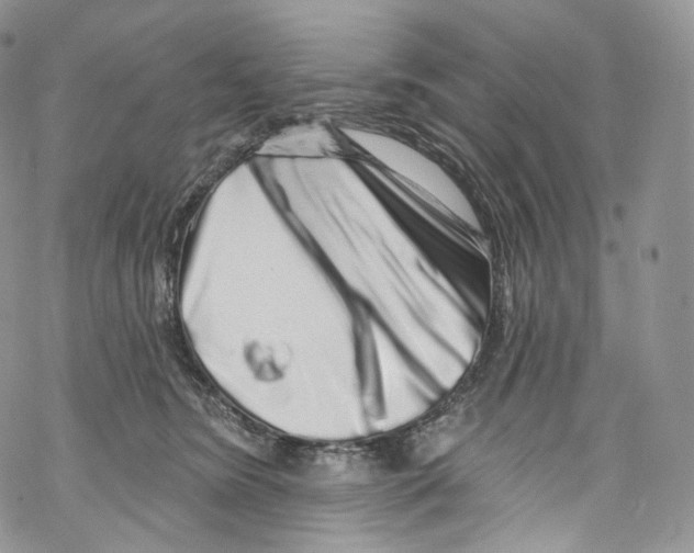 X0000069360420200606021458