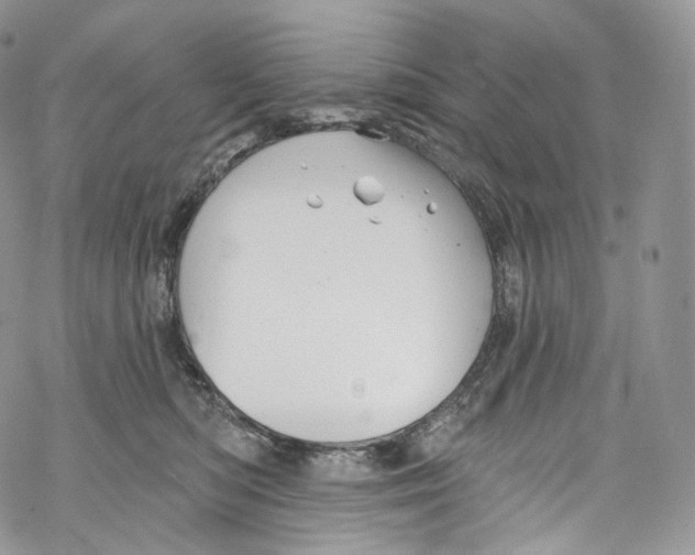 X0000069360422200606021458