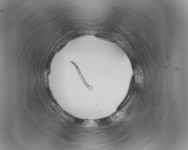 X0000069360425200606021458