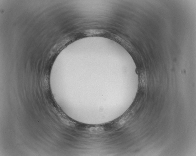 X0000069360426200606021458