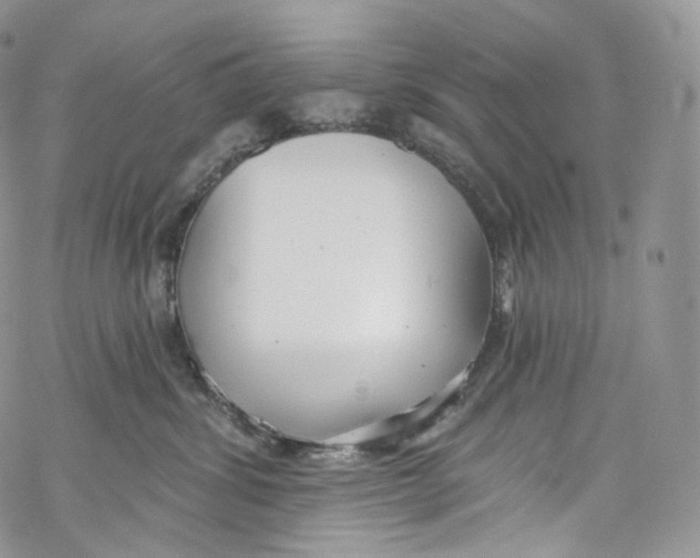 X0000069360428200606021458