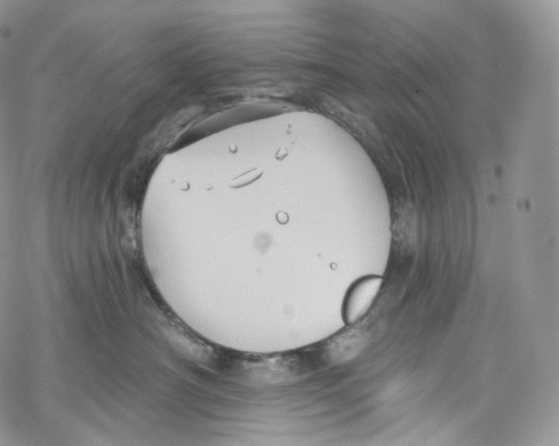 X0000069360430200606021457