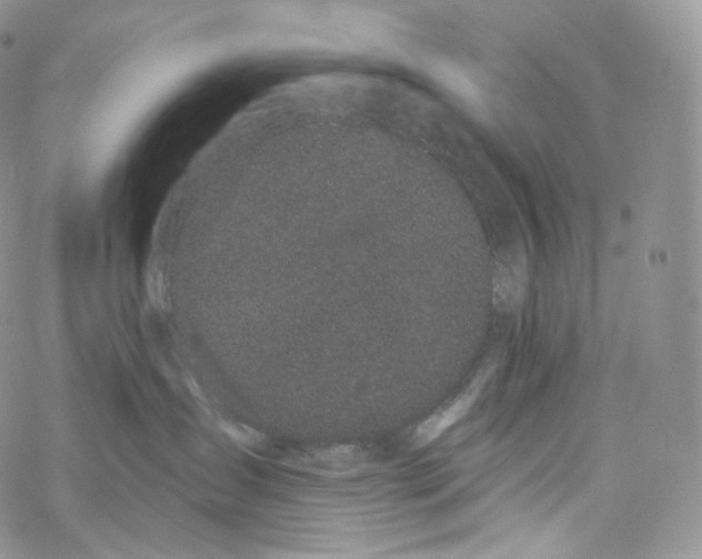 X0000069360431200606021457