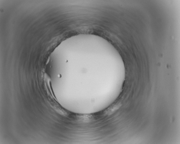 X0000069360432200606021457