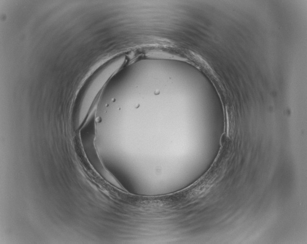 X0000069360435200606021457