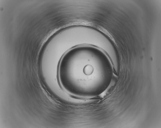 X0000069360436200606021457