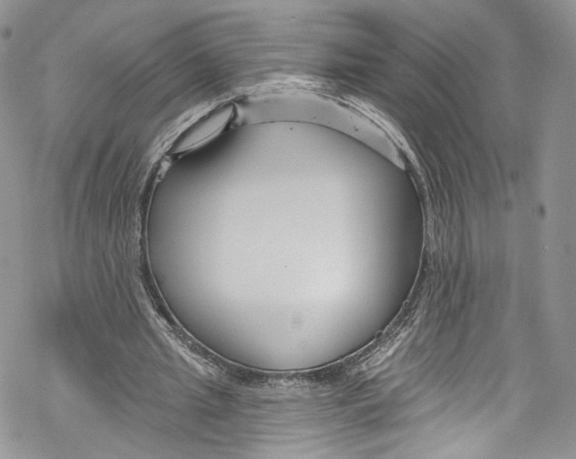 X0000069360437200606021457