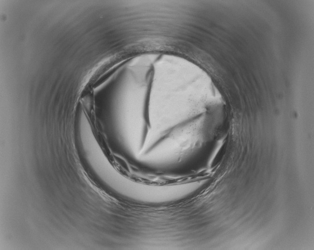 X0000069360438200606021457