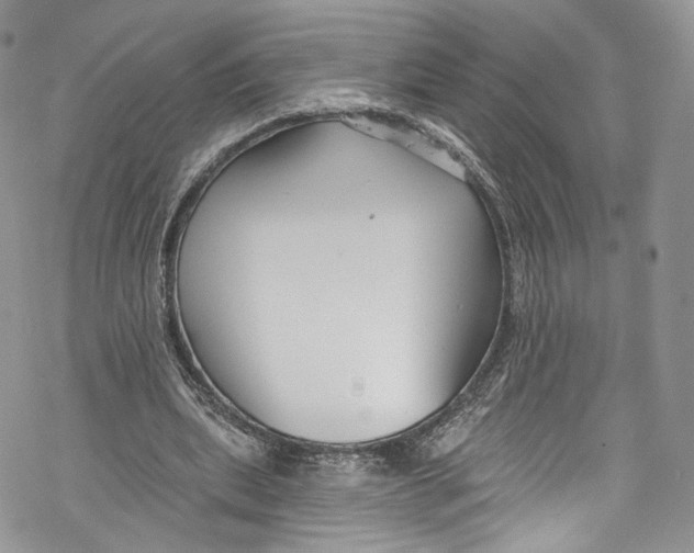 X0000069360439200606021457