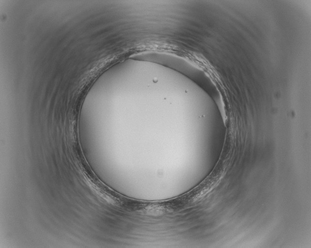 X0000069360441200606021457