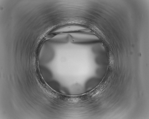 X0000069360444200606021457