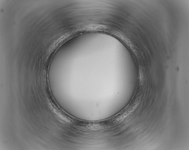 X0000069360445200606021457