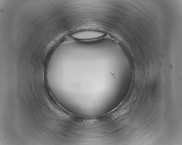 X0000069360446200606021457