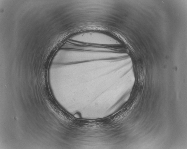 X0000069360447200606021457