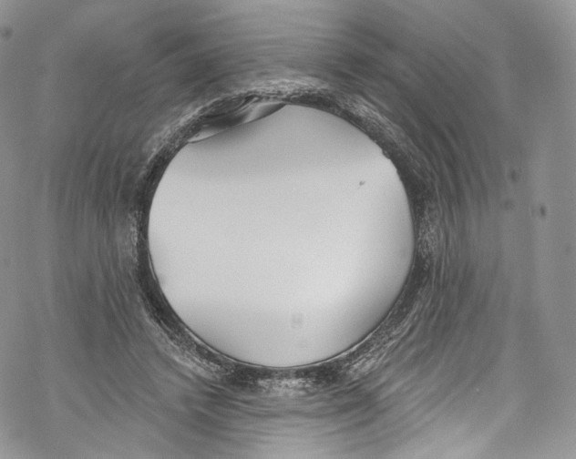 X0000069360448200606021457