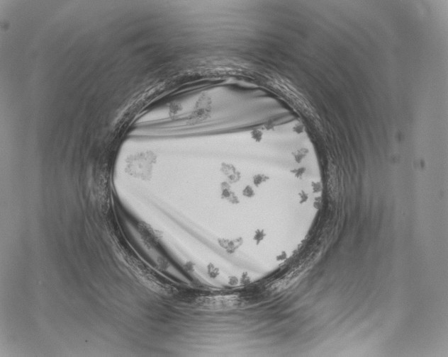 X0000069360449200606021457