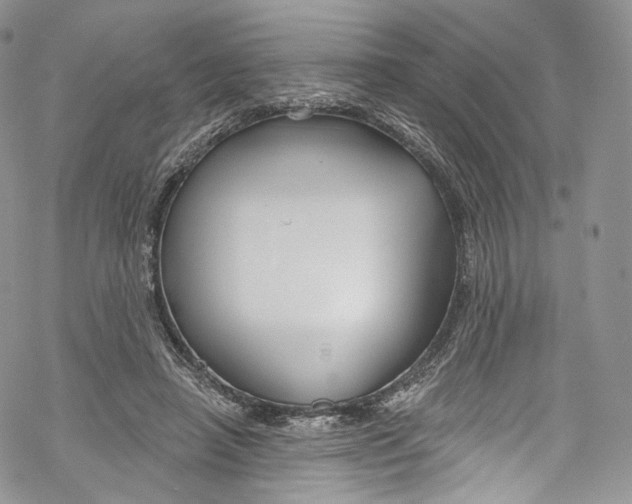 X0000069360450200606021457