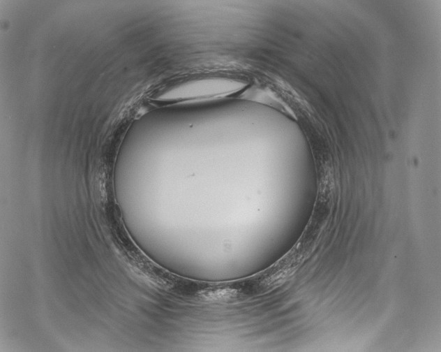 X0000069360452200606021457