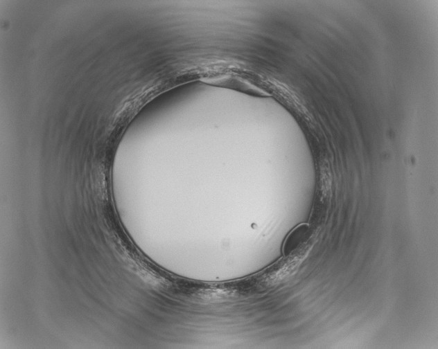 X0000069360453200606021457