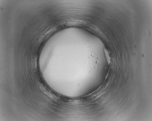 X0000069360454200606021457