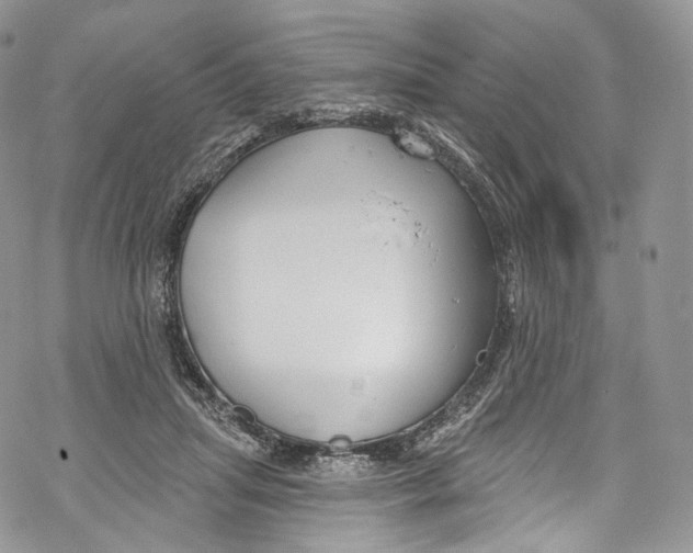 X0000069360455200606021457