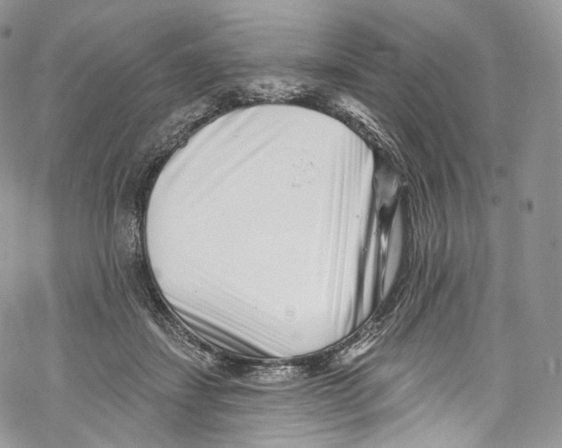 X0000069360459200606021457