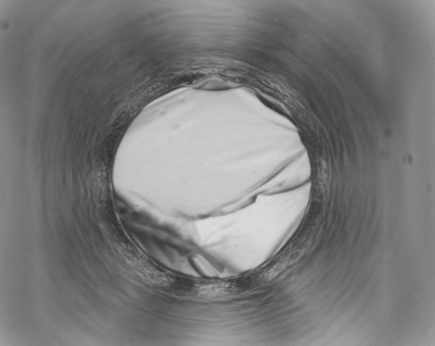 X0000069360461200606021457