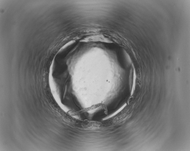 X0000069360462200606021457