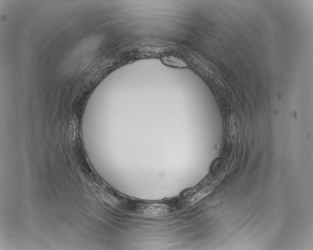 X0000069360463200606021457