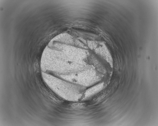 X0000069360465200606021457