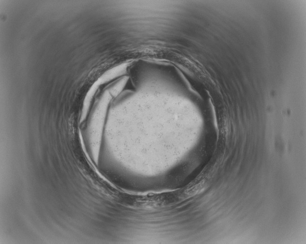 X0000069360466200606021457