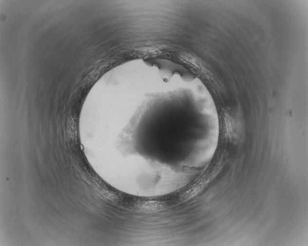 X0000069360467200606021457