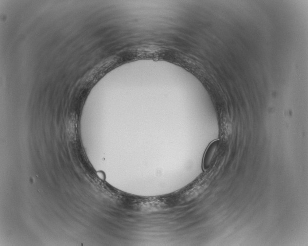 X0000069360468200606021457